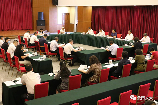 云南省人大常委会开展文物非遗&ldquo;两法一条例&rdquo;执法检查 推动文物和文化遗产保护事业高质量发展