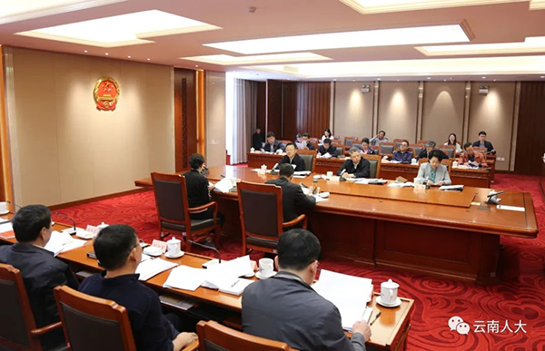 用主题教育成果推动人大工作高质量发展