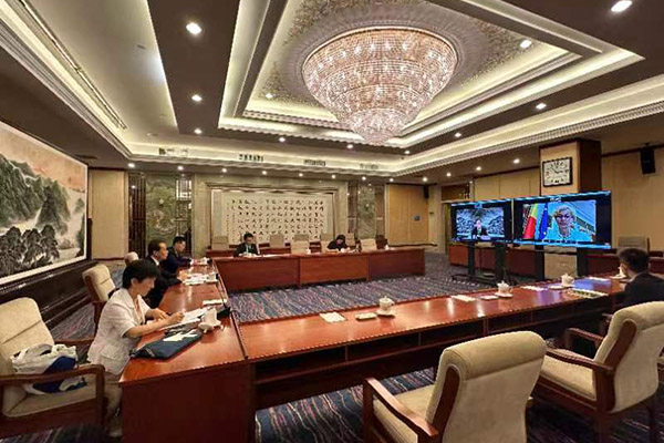 全国人大外事委员会副主任委员王超与罗马尼亚众议院外委会主席比罗举行视频会议