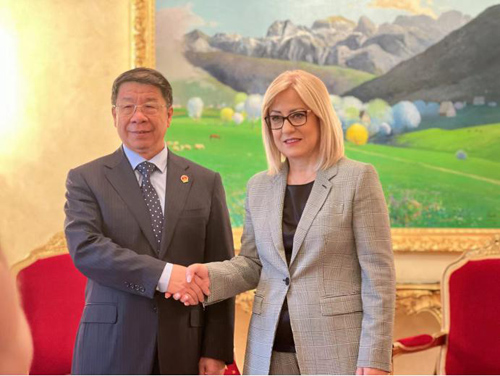 史耀斌主任率团访问阿尔巴尼亚、匈牙利和克罗地亚