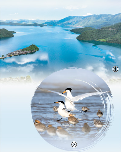 区域协同立法 共护绿水青山