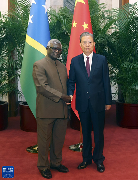 赵乐际会见所罗门群岛总理索加瓦雷