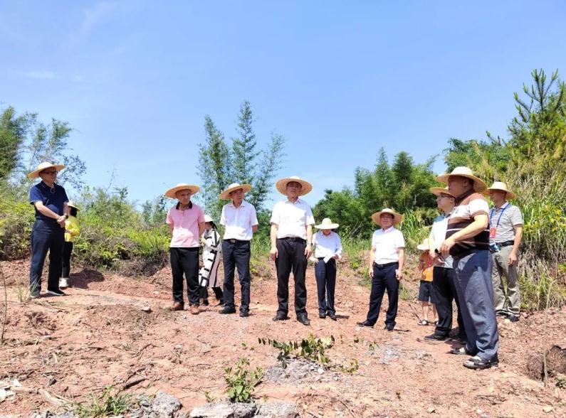 韶关：向&ldquo;山&rdquo;履职 绿美为卷