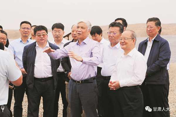 丁仲礼：以更有力措施推动可再生能源发展取得更大成效