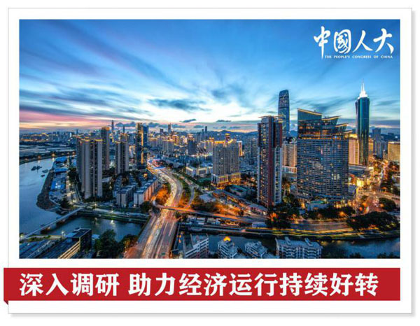 全国人大代表以高质量履职助力高质量发展