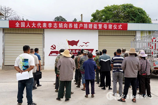 群众有需要 代表见行动