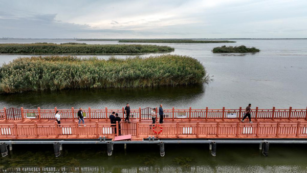  乌梁素海综合治理，让&ldquo;塞外明珠&rdquo;重现光彩