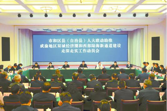  重庆：聚焦国家战略，交出人大高分答卷