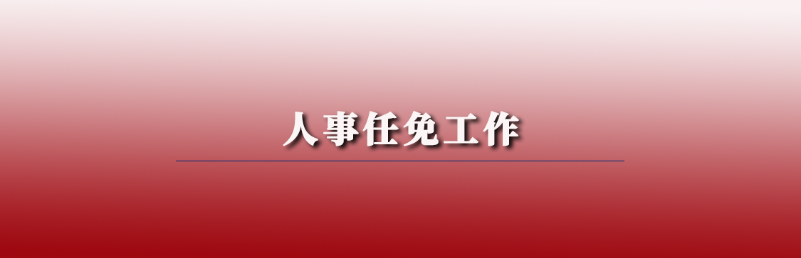人事任免系统