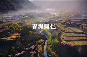 同仁市智慧人大平台