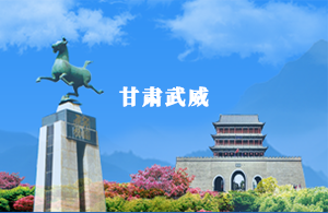 武威市智慧人大平台