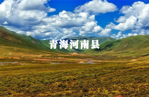 河南县人大代表履职系统