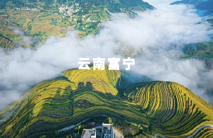 富宁县数字人大一体化平台